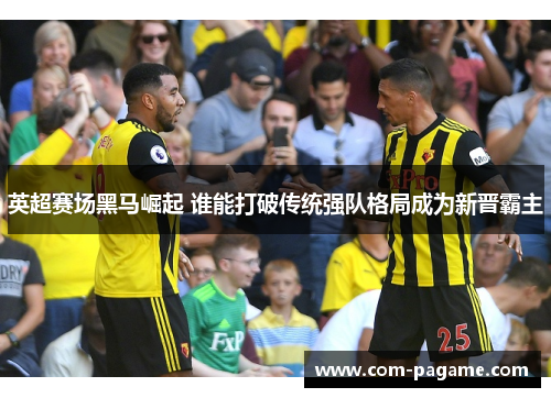 英超赛场黑马崛起 谁能打破传统强队格局成为新晋霸主
