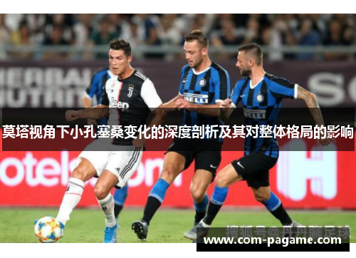 莫塔视角下小孔塞桑变化的深度剖析及其对整体格局的影响