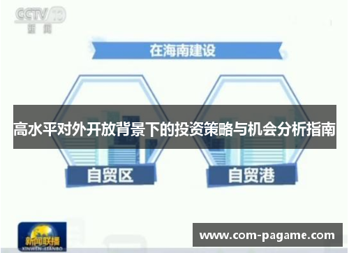 高水平对外开放背景下的投资策略与机会分析指南